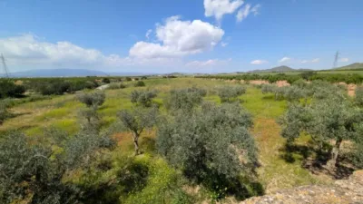 Rustic house in Fuente Álamo de Murcia photo 35