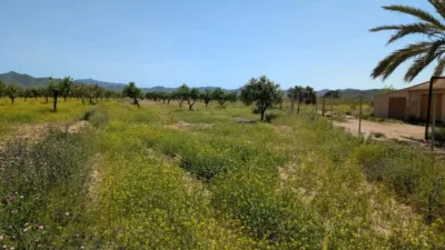 Rustic house in Fuente Álamo de Murcia photo 36