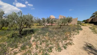 Rustic house in Fuente Álamo de Murcia photo 38