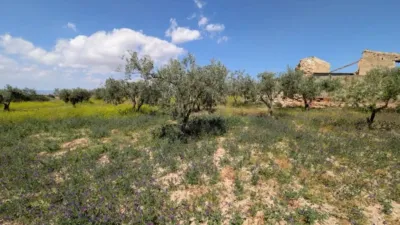 Rustic house in Fuente Álamo de Murcia photo 39