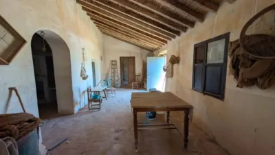 Rustic house in Fuente Álamo de Murcia photo 3