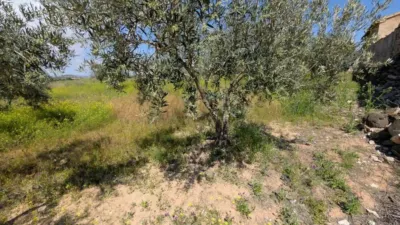 Rustic house in Fuente Álamo de Murcia photo 40