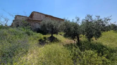 Rustic house in Fuente Álamo de Murcia photo 42