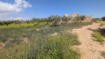 Rustic house in Fuente Álamo de Murcia photo 45