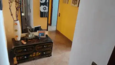 Apartment in Barenys photo 6