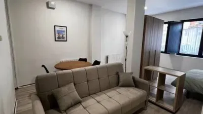 Piso en alquiler en Calle de Bretón de los Herreros, cerca de Calle de Santa Engracia - Imagen 4