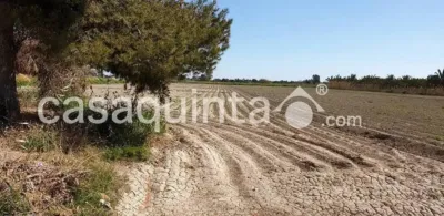 Casa – Catral - Vista 2
