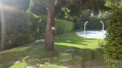 Piso en alquiler en Calle de Apolonio Morales - Imagen 5