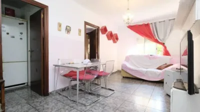 Apartment in La Prosperitat photo 12