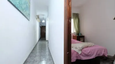 Apartment in La Prosperitat photo 4