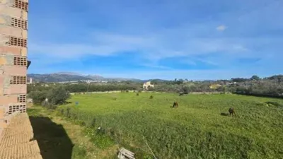 Rustic house in Camí des Pous photo 6