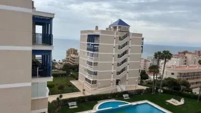 Pis – Elx - Elche - Vista 2