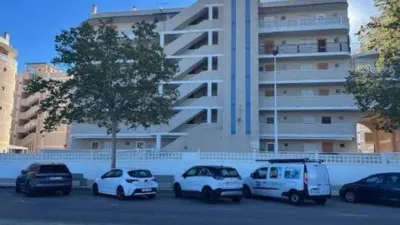 Pis – Elx - Elche - Vista 3