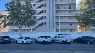 Pis – Elx - Elche - Vista 4