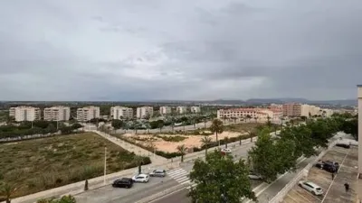 Pis – Elx - Elche - Vista 5