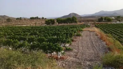 Casa - Vista 2