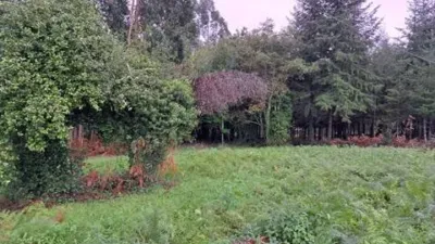 Terreno en venta en Paderne - Vista 4
