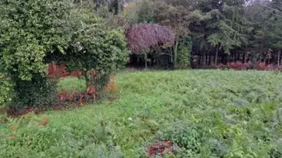Terreno en venta en Paderne - Más