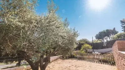 Chalet in Sant Pol de Mar photo 7