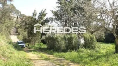 Chalet in Torrelles de Llobregat photo 13