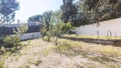 Chalet in Sant Pol de Mar photo 18
