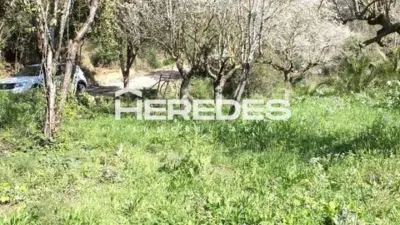 Chalet in Torrelles de Llobregat photo 30