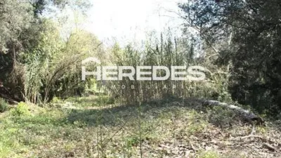 Chalet in Torrelles de Llobregat photo 42