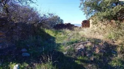 Rustic farmhouse in Murtas photo 26