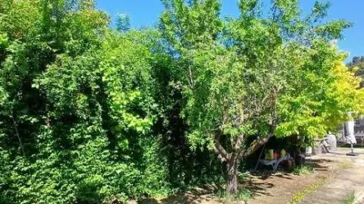 Rustic house in Ayegui - Aiegi photo 46
