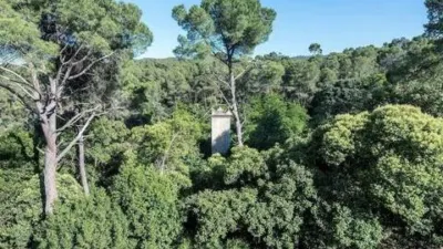 Chalet in La Floresta-Les Planes photo 19