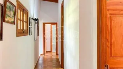 Rustic house in Son Servera photo 5