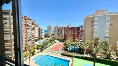 Piso – Alacant / Alicante, l'Alacantí - Vista 2