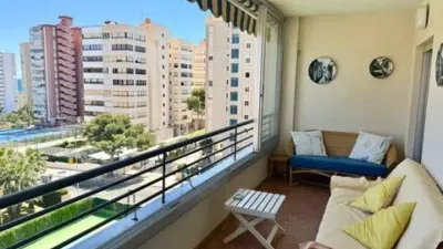 Piso – Alacant / Alicante, l'Alacantí - Vista 5
