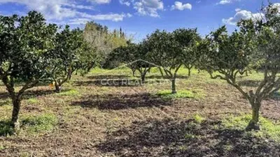 Rustic house in Son Servera photo 20