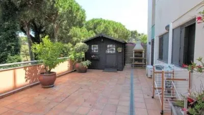 Apartment on Avinguda de Sa Boadella photo 19