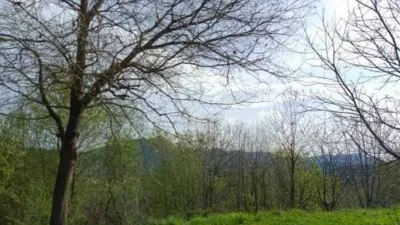 Chalet in Forua photo 10
