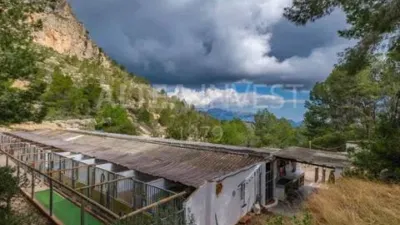 Rustic house on Carrer Figueretes photo 36
