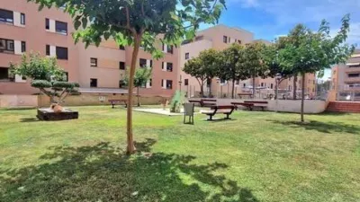 Apartment in Fenals-Santa Clotilde photo 5