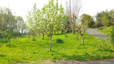 Chalet in Forua photo 49