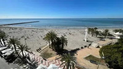 Apartment in Centre-Port-Platja Llevant photo 15