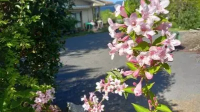 Chalet in Forua photo 50