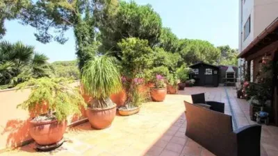 Apartment on Avinguda de Sa Boadella photo 3