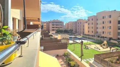 Apartment in Fenals-Santa Clotilde photo 4