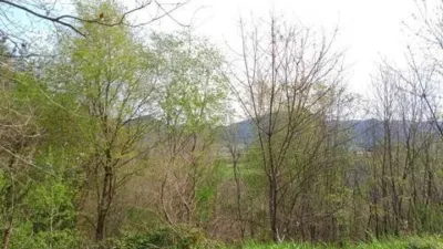 Chalet in Forua photo 11