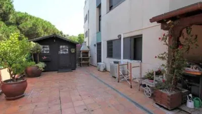 Apartment on Avinguda de Sa Boadella photo 20