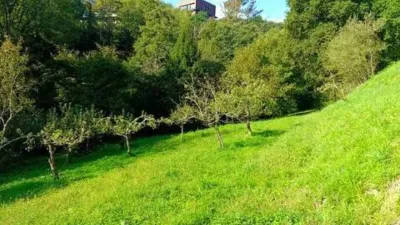 Chalet in Mundaka photo 5