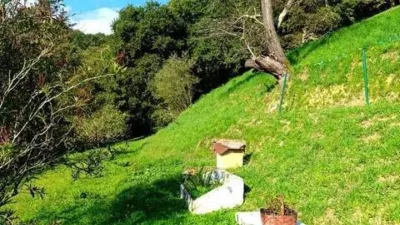 Chalet in Mundaka photo 4