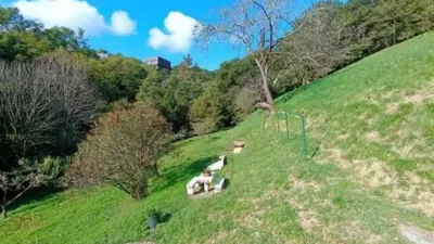 Chalet in Mundaka photo 10