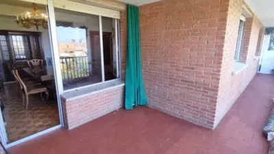Apartment in Castillejos photo 11