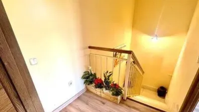 Apartment in Torremocha de Jarama photo 7